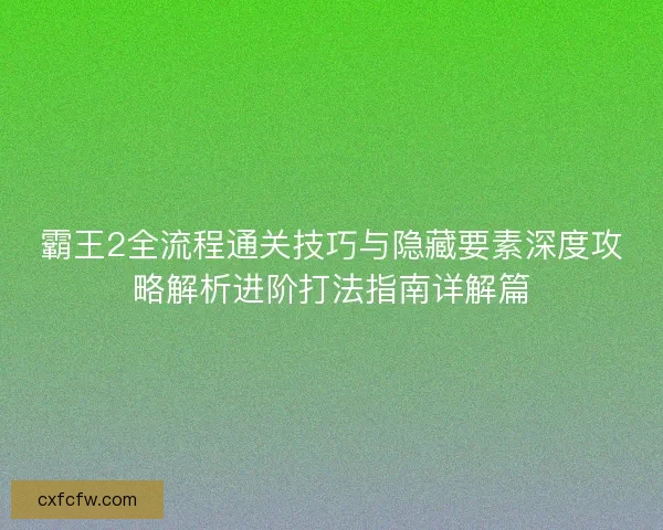 霸王2全流程通关技巧与隐藏要素深度攻略解析进阶打法指南详解篇 霸王2全流程通关技巧与隐藏要素深度攻略解析进阶打法指南详解篇