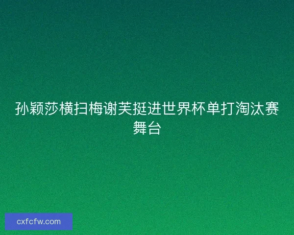 孙颖莎横扫梅谢芙挺进世界杯单打淘汰赛舞台